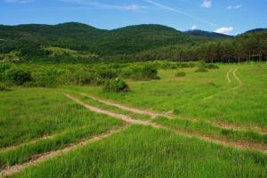 Krizisce_Simon Rebula